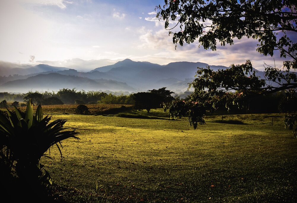 Bogotá, Medellín & Zona Cafetera : Meilleures idées d&rsquo;itinéraires