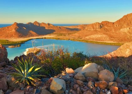 Circuit de découverte de la péninsule de Baja et de La Paz au Mexique – 5 jours
