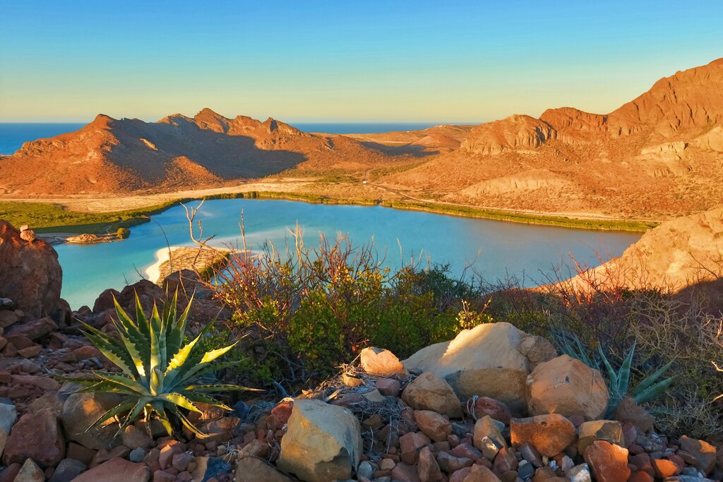 Circuit de découverte de la péninsule de Baja et de La Paz au Mexique - 5 jours - img