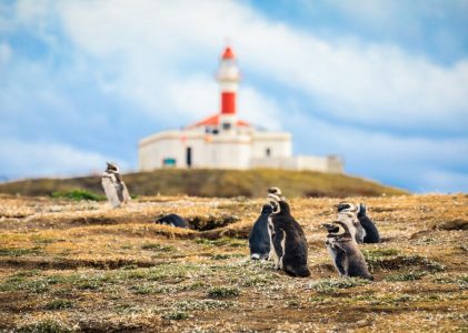 Circuit familial en Patagonie chilienne : Santiago et Punta Arenas – 7 jours