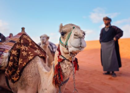 Circuit historique et patrimonial en Jordanie : D&rsquo;Amman à la mer Morte – 13 jours