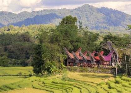 Circuit nature et culture en Indonésie : Java, Bornéo, Sulawesi, Bali et Komodo – 15 jours
