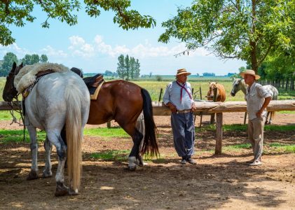 Circuit ultime en Argentine et au Chili : Villes, chutes d&rsquo;eau, vins et déserts – 21 jours