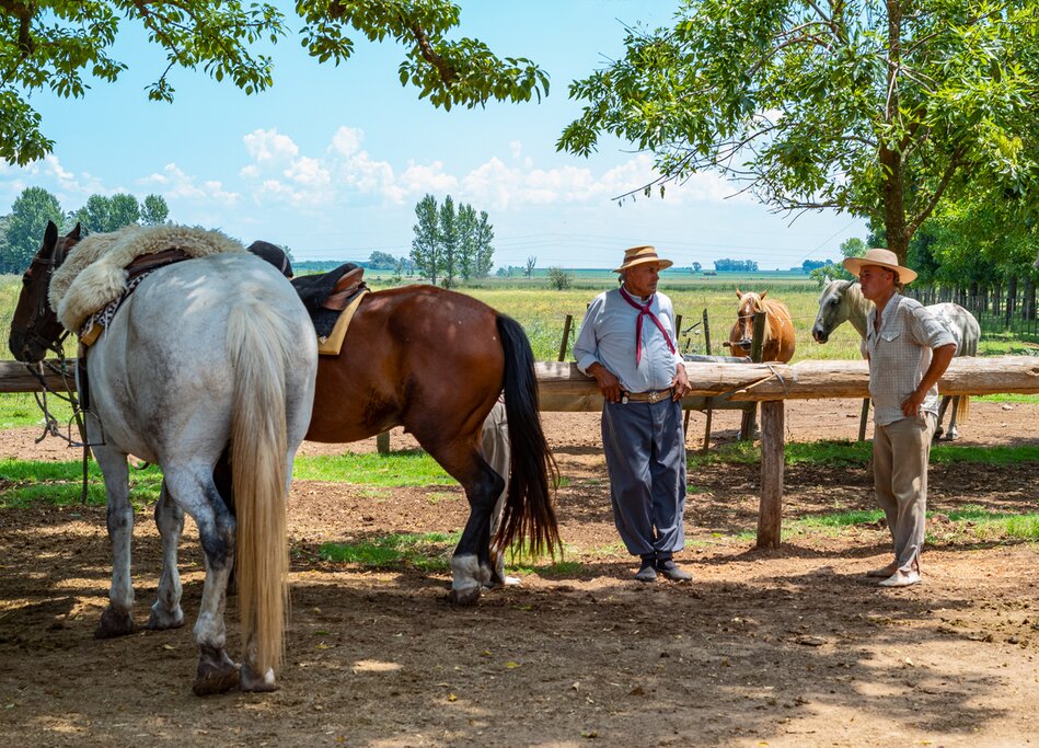Circuit ultime en Argentine et au Chili : Villes, chutes d'eau, vins et déserts - 21 jours - img