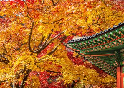 Couleurs d&rsquo;automne et culture locale en Corée du Sud – 10 jours