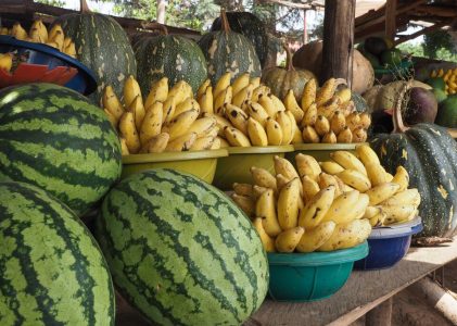 Culture, cuisine et chimpanzés en Ouganda – 5 jours