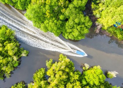 Découverte de la faune et de la flore de Bornéo et de la rivière cachée Kinabatangan – 5 jours