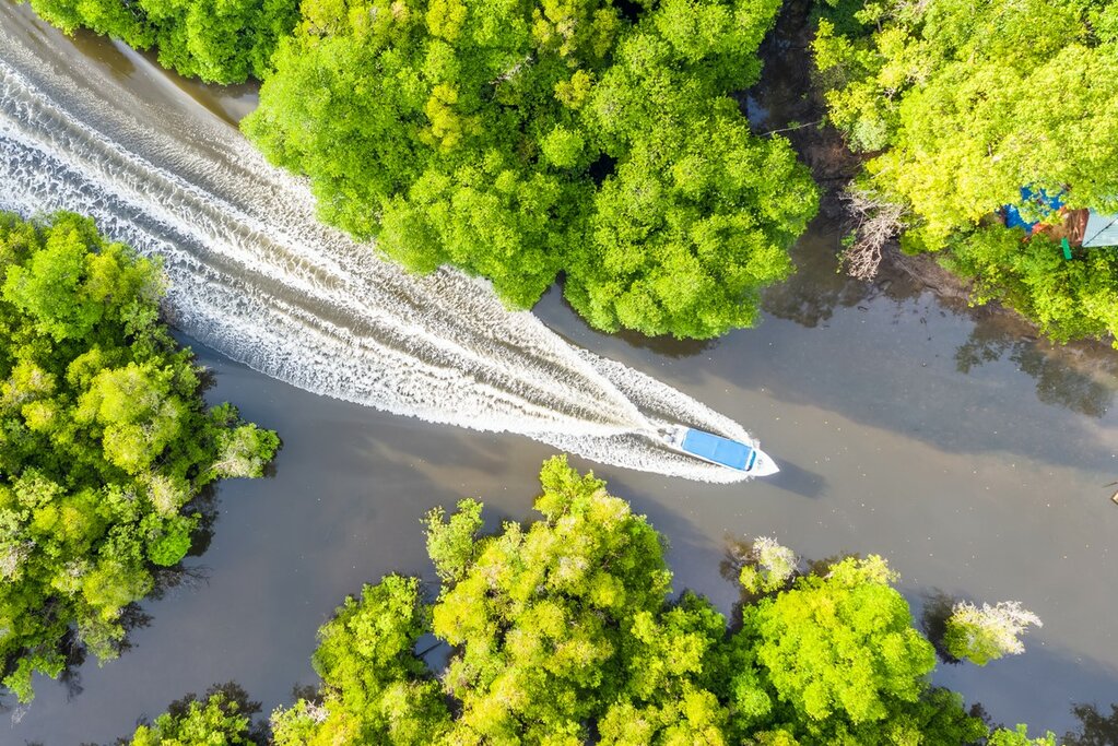 Découverte de la faune et de la flore de Bornéo et de la rivière cachée Kinabatangan - 5 jours - img