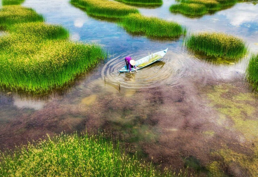 Découverte du Mékong : Sud du Vietnam et Cambodge - 10 jours - img