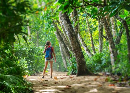 Escapade active en famille au Costa Rica : Forêts de nuages, plages, cascades et faune – 14 jours