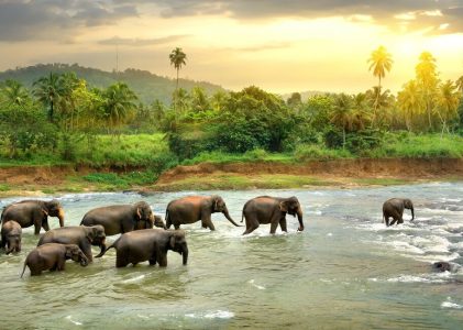 Escapade de luxe en Thaïlande (ville, jungle et plage) – 14 jours