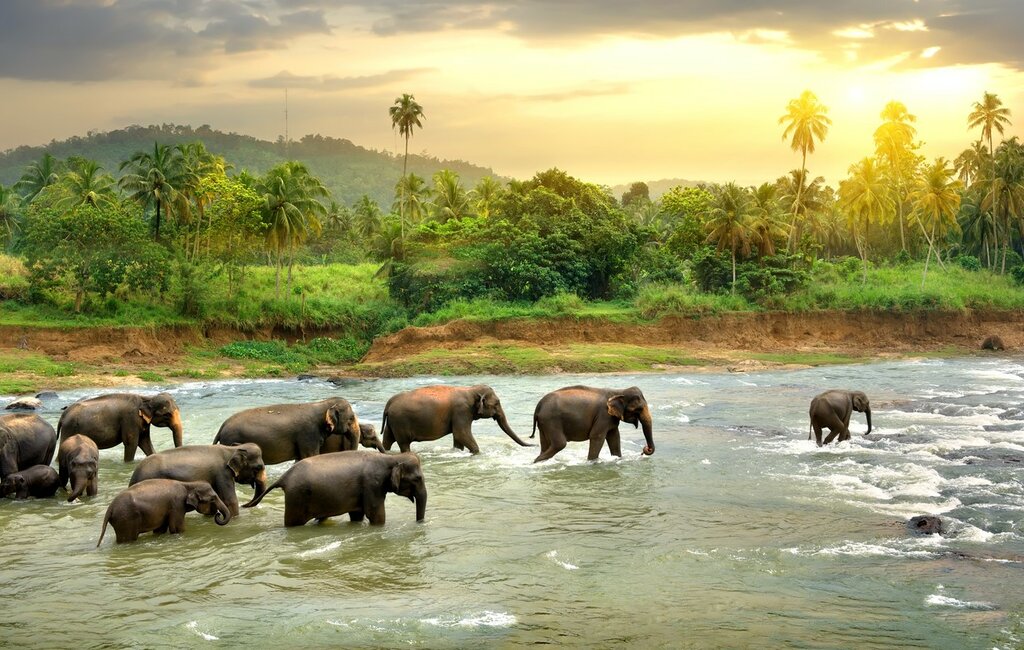 Escapade de luxe en Thaïlande (ville, jungle et plage) - 14 jours - img