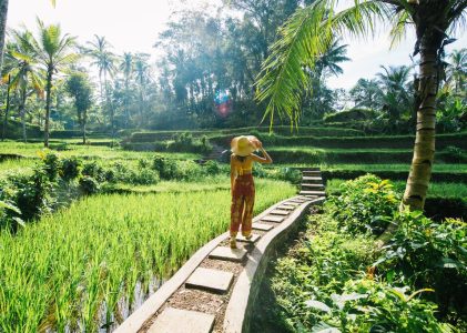 Escapade de luxe sur les îles indonésiennes : Bali et Lombok – 7 jours