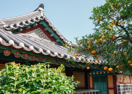 Escapade hivernale en Corée du Sud : Montagnes, îles et sources thermales – 10 jours