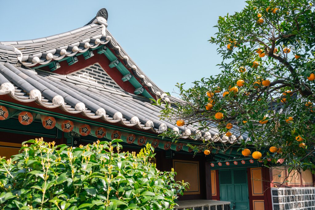 Escapade hivernale en Corée du Sud : Montagnes, îles et sources thermales - 10 jours - img