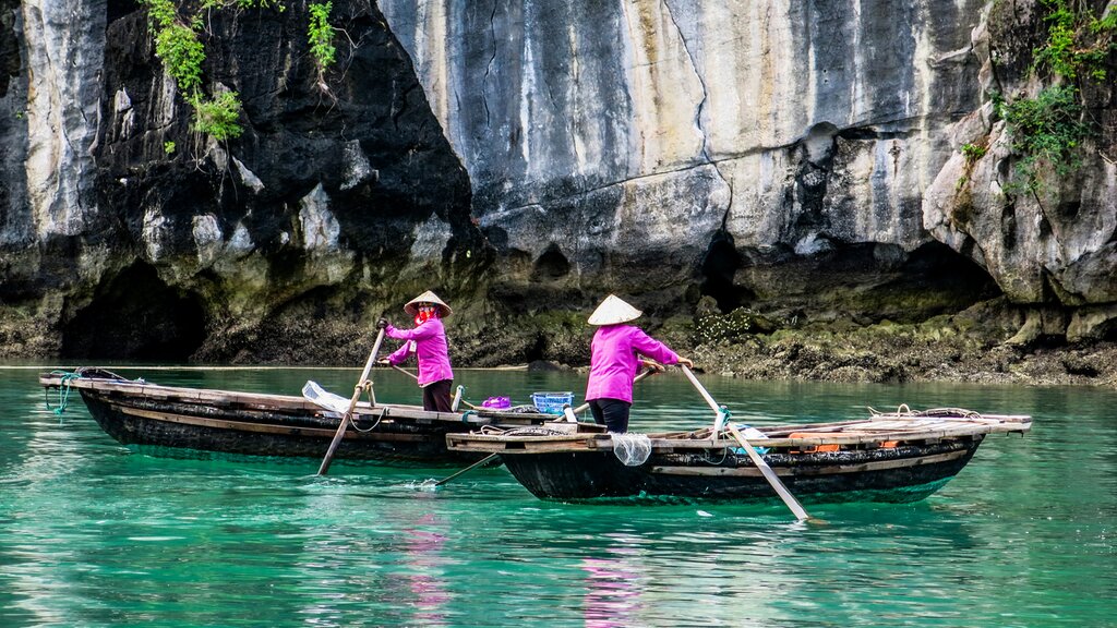 Hanoi, Ninh Binh, baie d'Ha Long et réserve naturelle de Pu Luong : Meilleures idées d'itinéraires - img