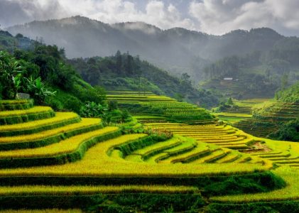 Ho Chi Minh Ville, Hoi An, Hanoi, Baie d&rsquo;Ha Long et Sapa : Meilleures idées d&rsquo;itinéraires