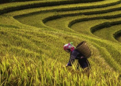 Hoi An, Hanoi, baie d&rsquo;Ha Long et Sapa : meilleures idées d&rsquo;itinéraires