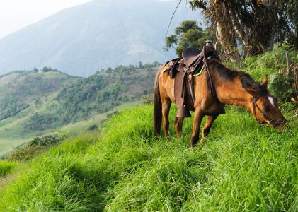 La capitale colombienne, le triangle du café et les villes coloniales : Bogota et Pereira – 6 jours