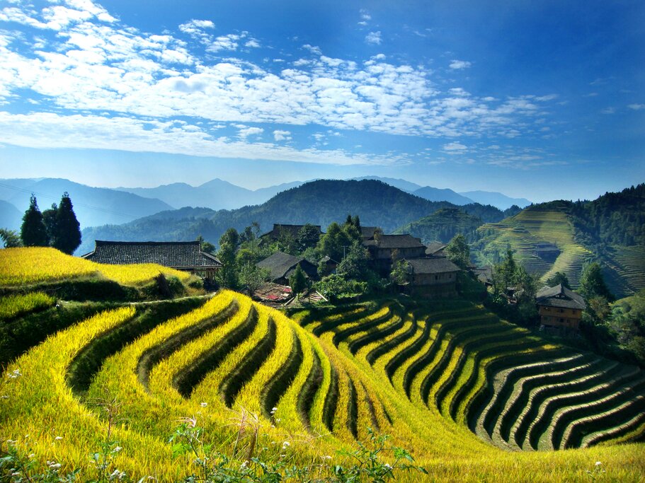 La Chine authentique : Pékin, Xi'an, Guilin, Yangshuo et Shanghai - 11 jours - img