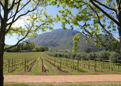 Le Cap et Franschhoek : Meilleures idées d&rsquo;itinéraires