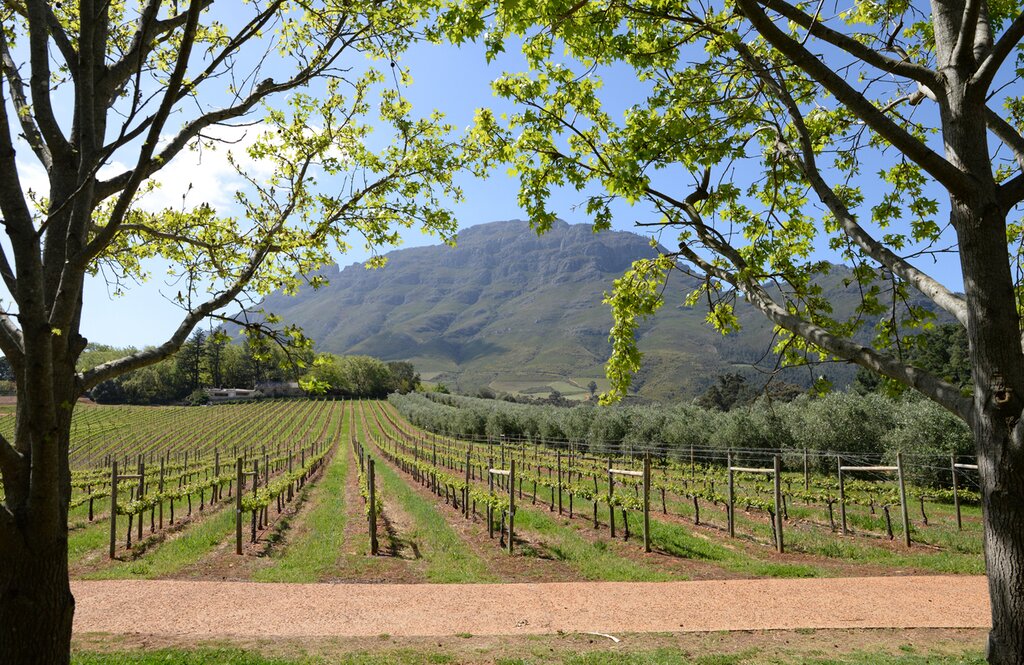 Le Cap et Franschhoek : Meilleures idées d'itinéraires - img