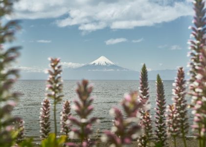 Le Chili du nord au sud : Santiago, région des lacs et Patagonie – 10 jours
