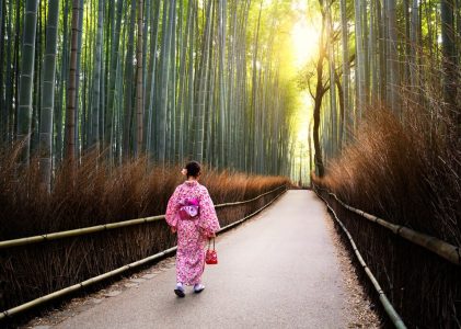 Le Japon pour les adolescents et les préadolescents : Histoire, culture et animation – 11 jours