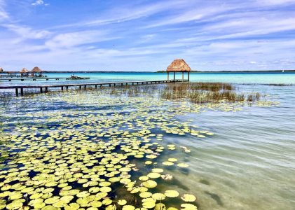 Le meilleur de la péninsule du Yucatán au Mexique : Villes, culture et côte – 14 jours
