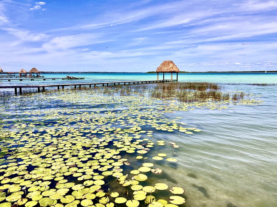 Le meilleur de la péninsule du Yucatán au Mexique : Villes, culture et côte - 14 jours - img