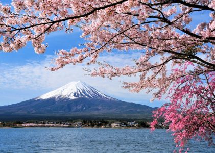 Le printemps au Japon : Okinawa, Tokyo, Yokohama, Kamakura et le Mont Fuji – 8 jours