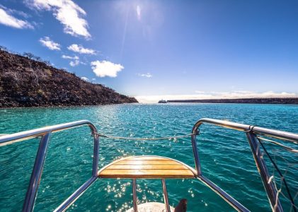 Le trio de luxe de l&rsquo;Équateur : Hauts plateaux andins, forêts de nuages et Galápagos – 14 jours