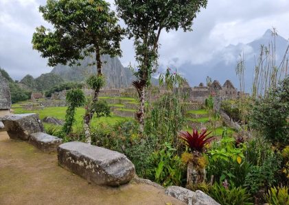 Lima, l&rsquo;Amazonie, Cusco, Puno, Machu Picchu et la Vallée Sacrée : Meilleures idées d&rsquo;itinéraires