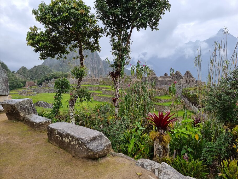 Lima, l'Amazonie, Cusco, Puno, Machu Picchu et la Vallée Sacrée : Meilleures idées d'itinéraires - img