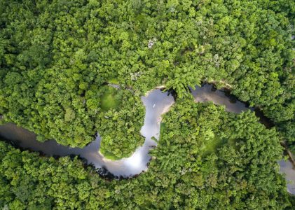 L&rsquo;ultime aventure au Brésil : Rio de Janeiro, l&rsquo;Amazonie, le nord du Pantanal et la côte de Corail – 14 jours