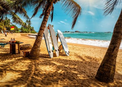 Merveilles côtières et hauts lieux culturels du sud du Sri Lanka – 8 jours