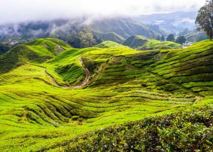 Merveilles de la Malaisie occidentale : De Kuala Lumpur à l&rsquo;île de Langkawi – 14 jours