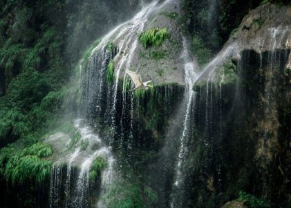 Merveilles naturelles et archéologiques du Mexique : Du Chiapas au Yucatán – 14 jours