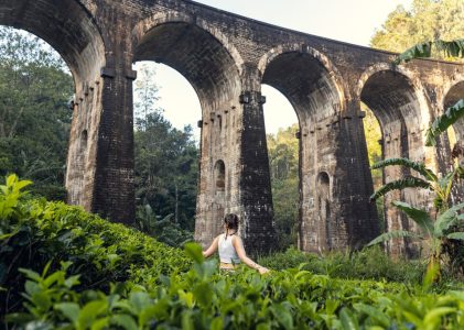 Nature, culture et aventure au Sri Lanka – 7 jours