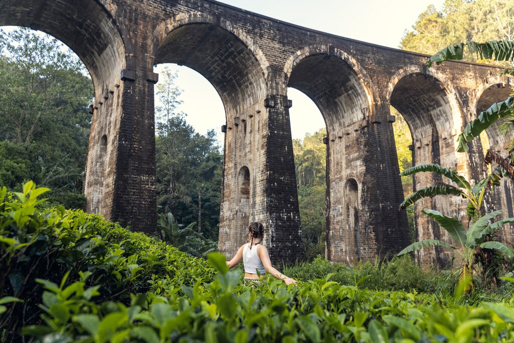 Nature, culture et aventure au Sri Lanka – 7 jours