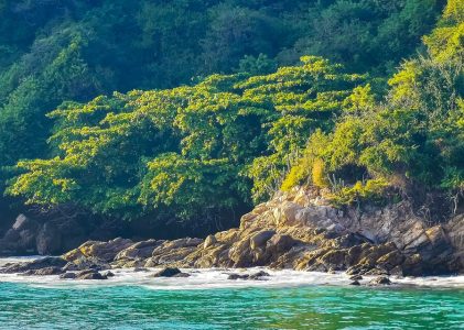 Nature et culture du Mexique : Oaxaca, Puerto Escondido et San Cristóbal de las Casas – 10 jours