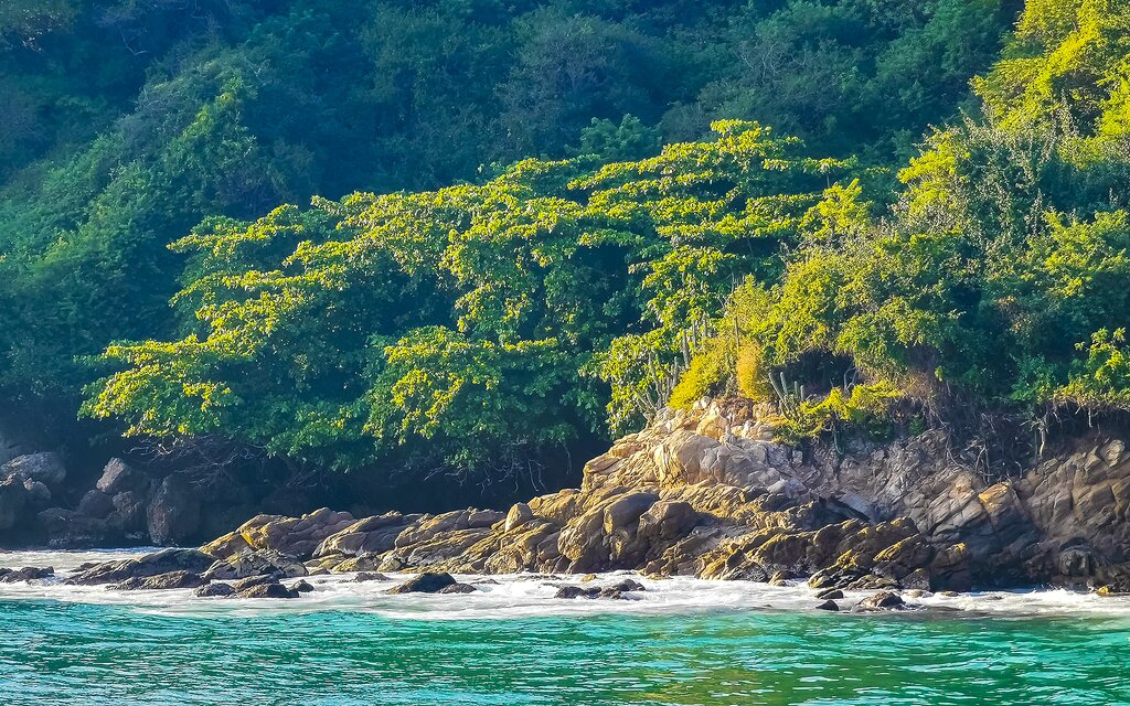 Nature et culture du Mexique : Oaxaca, Puerto Escondido et San Cristóbal de las Casas - 10 jours - img
