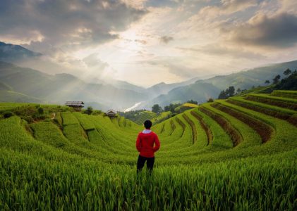 Nord du Vietnam de luxe pour les amoureux de la nature – 7 jours
