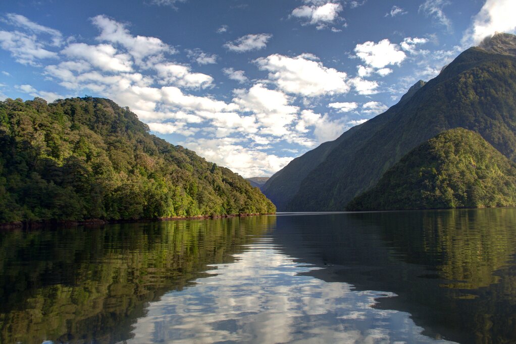 Panorama de la Nouvelle-Zélande : D'Auckland à Christchurch - 17 jours - img