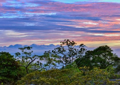 Parcs nationaux et forêts de nuages du Costa Rica – 7 jours