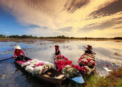Réflexions sur le Mékong : Voyage au Vietnam et au Cambodge – 7 jours