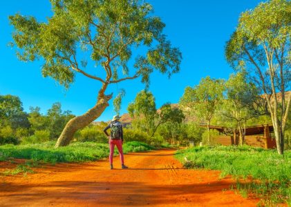 Road Trip Aventure dans l&rsquo;Outback : Sydney, Alice Springs et Uluru – 8 jours