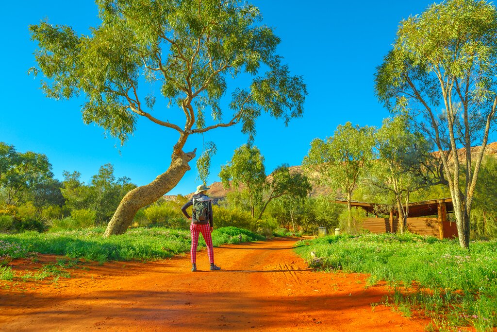 Road Trip Aventure dans l&rsquo;Outback : Sydney, Alice Springs et Uluru – 8 jours