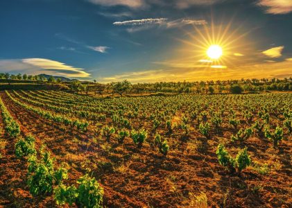 Road Trip de luxe dans le nord de l&rsquo;Espagne : Madrid, La Rioja et le Pays Basque – 10 jours