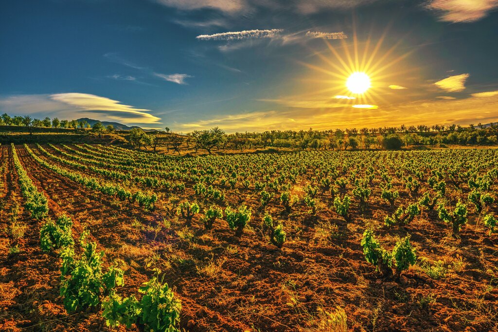 Road Trip de luxe dans le nord de l'Espagne : Madrid, La Rioja et le Pays Basque - 10 jours - img